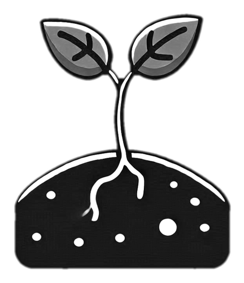 Unlock your potential